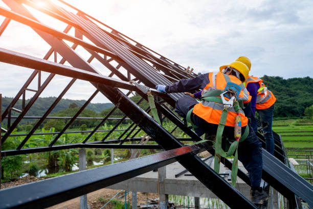 Best Roof Gutter Cleaning  in San Ramon, CA